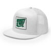 Trucker Cap money way