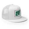 Trucker Cap money way
